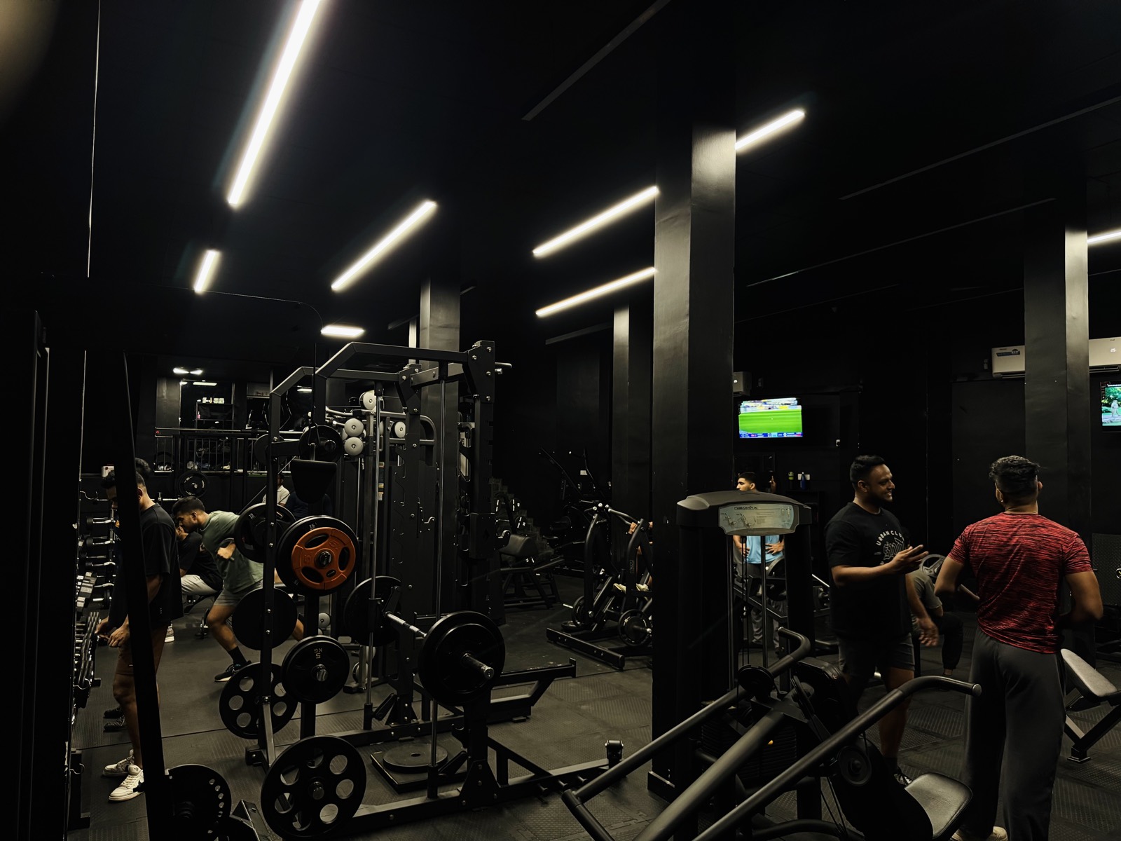 The squat rack area lit by linear ceiling lights
