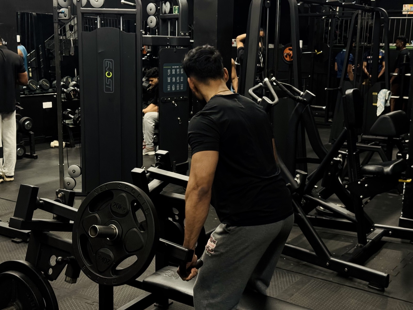 Plate-loaded machines and weight plates in the strength zone